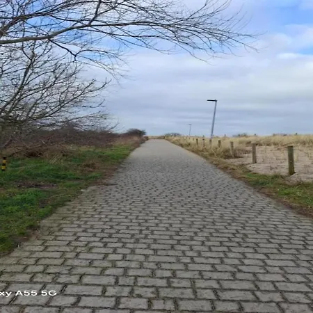 In Near The דירה