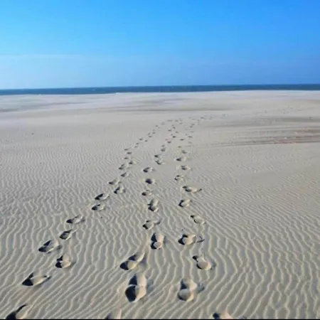 In Near The Apartment