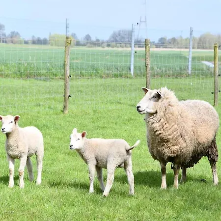 דירה In Near The