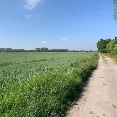 In Near The Apartment *