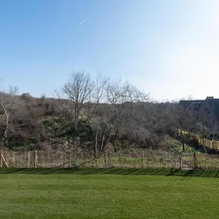 In Near The דירה ניופורט