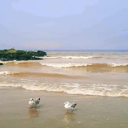 In Near The * ניופורט