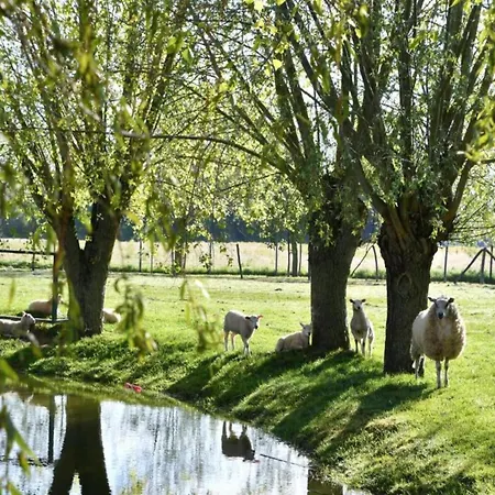 דירה In Near The ניופורט