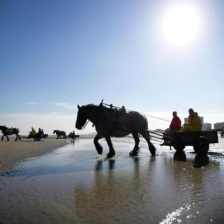 In Near The * ניופורט