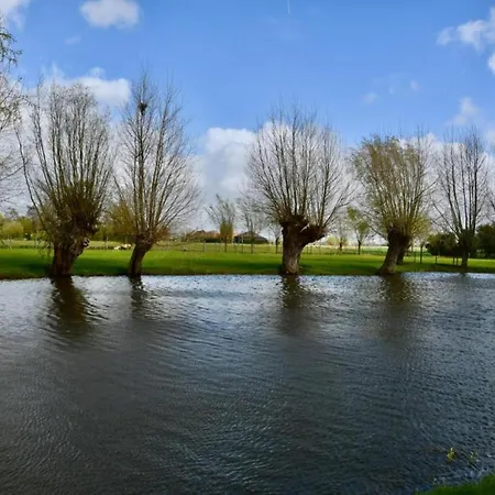 In Near The * ניופורט