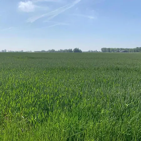 In Near The דירה