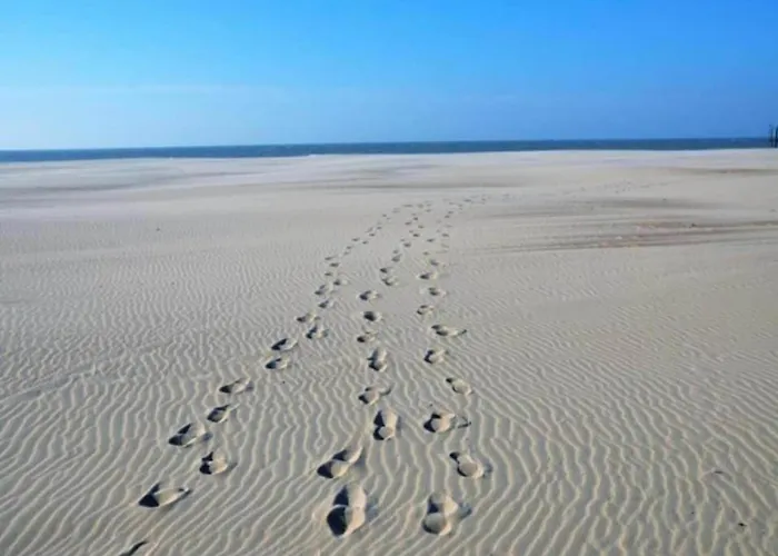 In Near The Apartman