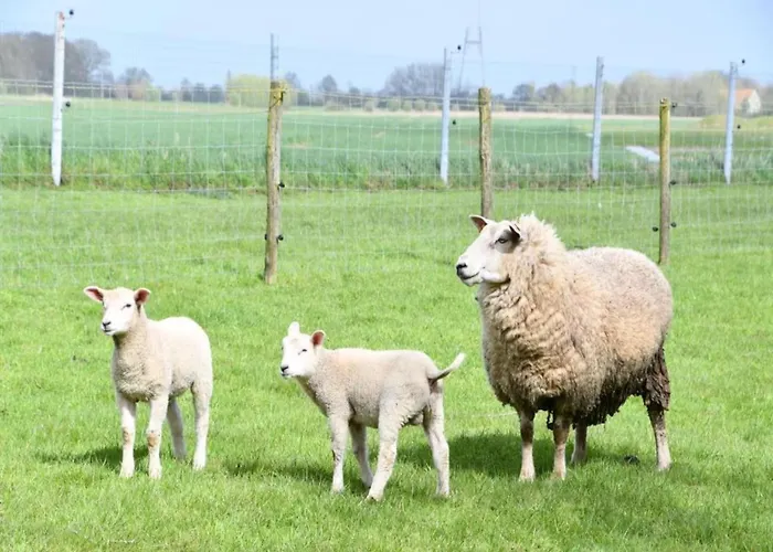 Apartman In Near The