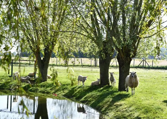 Apartman In Near The Nieuwpoort